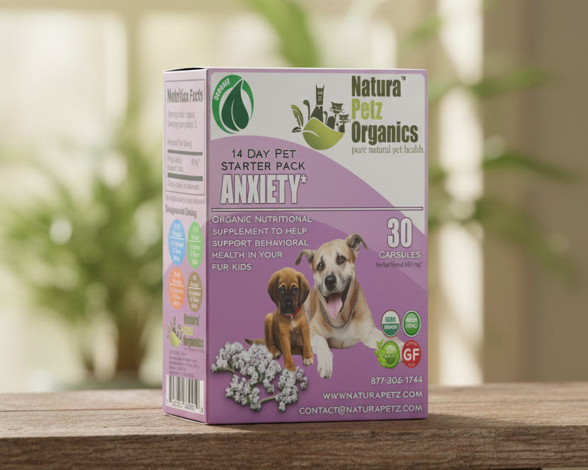Anxiety Starter Pack for Dogs