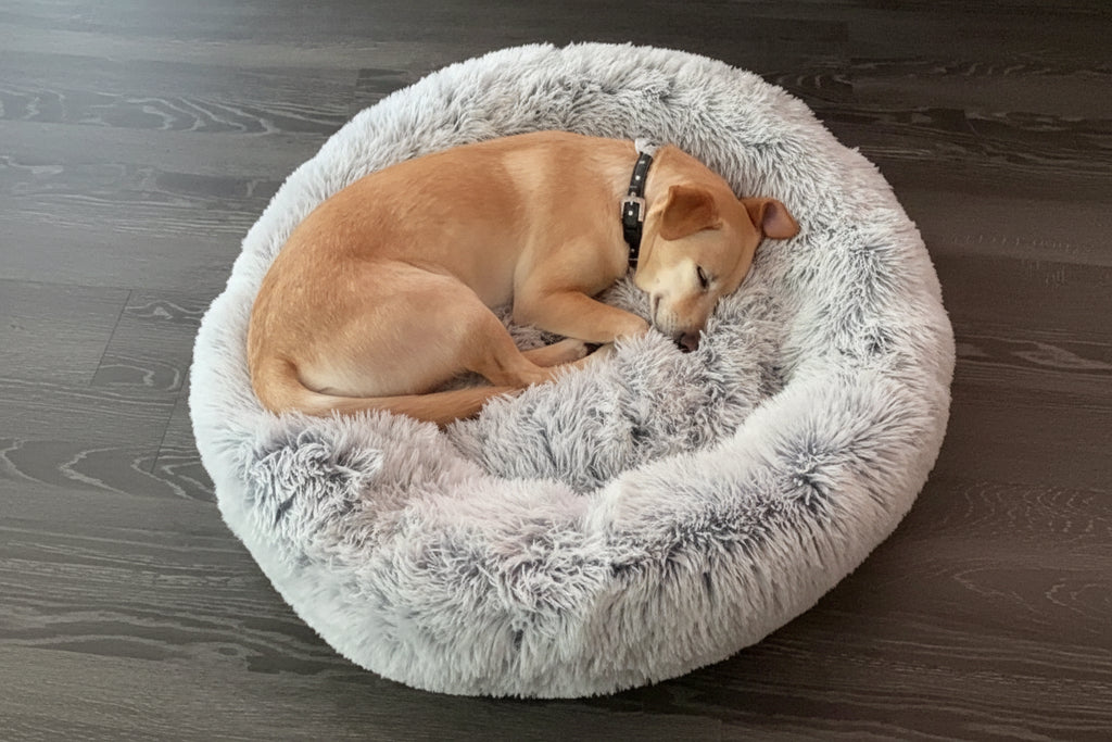 Comfort Pet Bed by Mr. Peanut's OrthoPlush