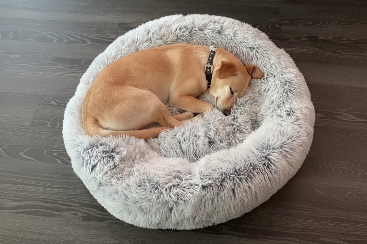 Comfort Pet Bed by Mr. Peanut's OrthoPlush