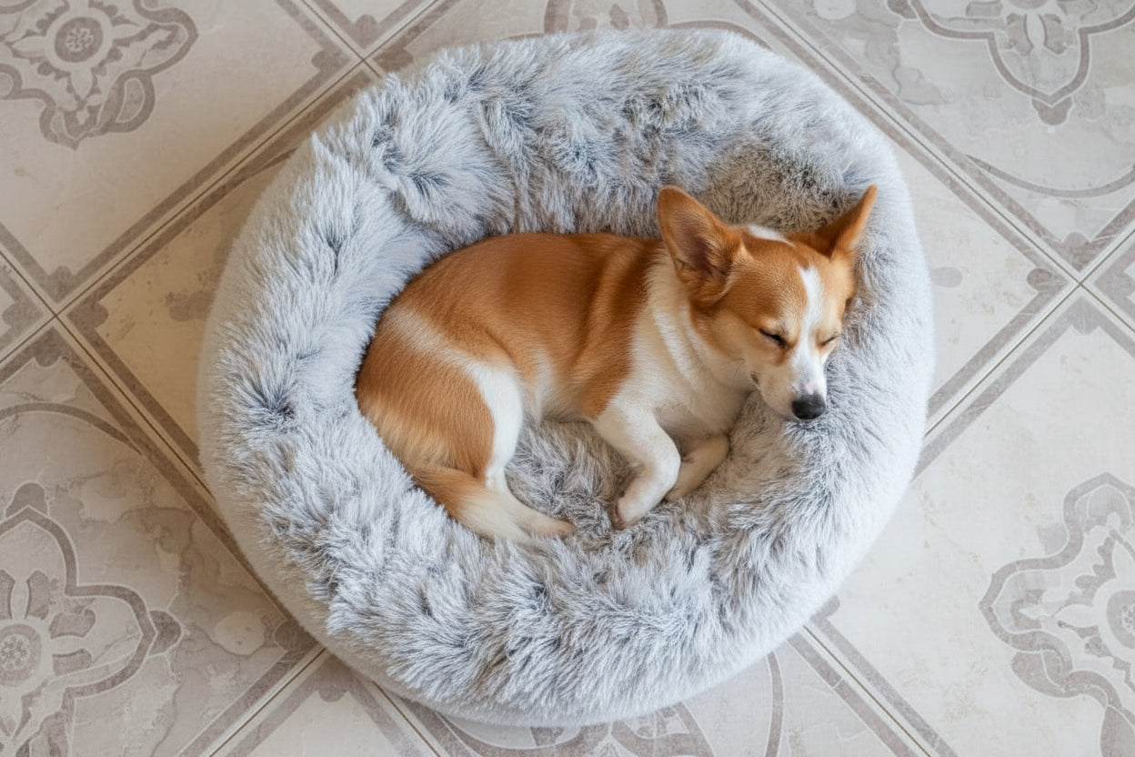 Comfort Pet Bed by Mr. Peanut's OrthoPlush