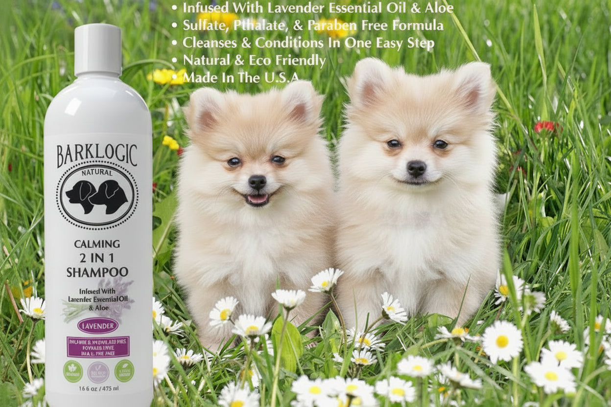 Calming 2 in 1 Shampoo