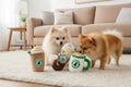 Squeaker Dog Toy  -  Starbarks Bundle