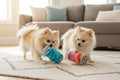 Squeaker Dog Toy - LickCroix Bundle