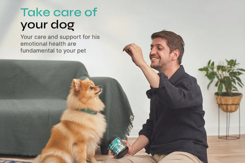 Calming Chews for Dogs-Beef Flavor