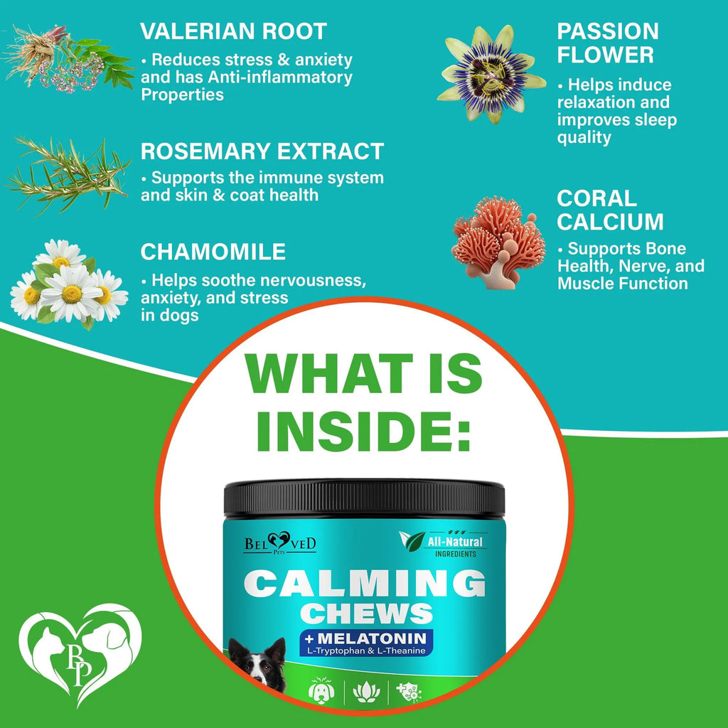 Hemp Calming Chews for Dogs & Puppies