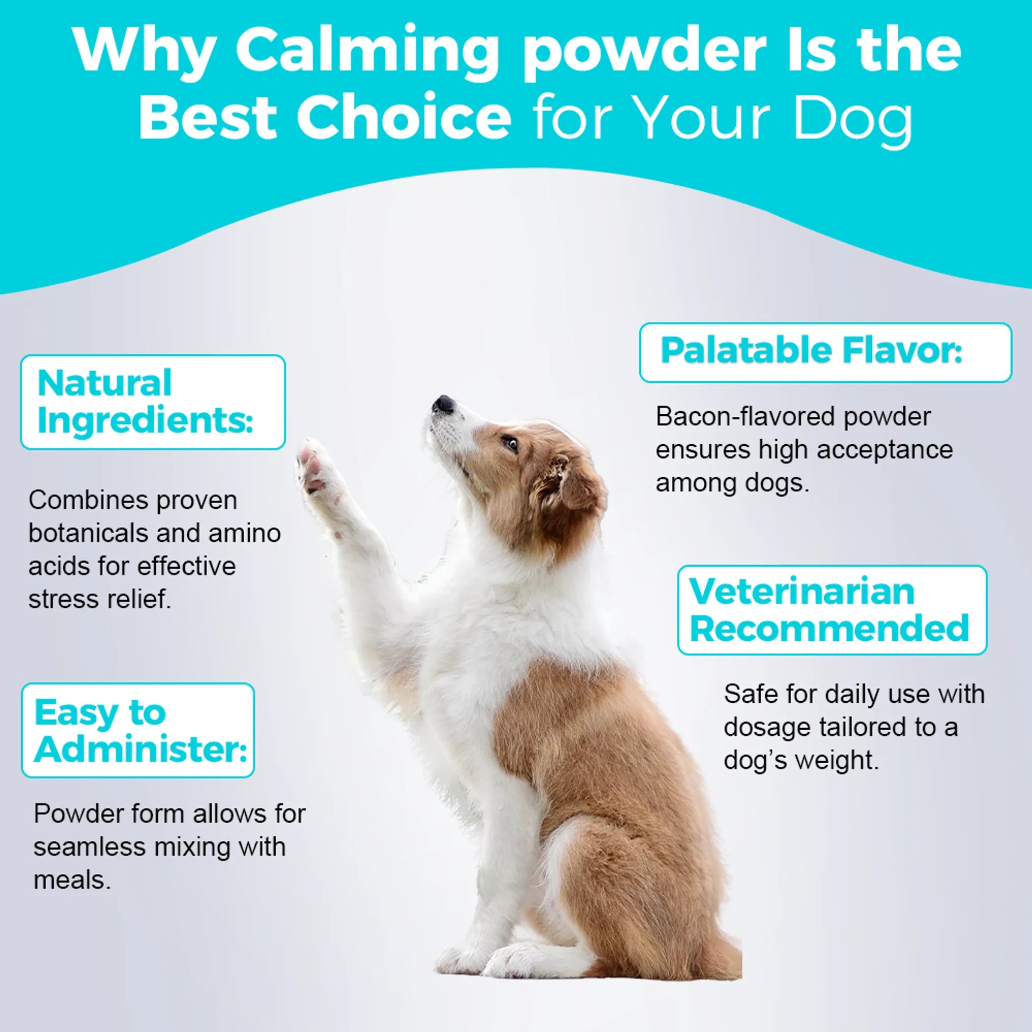 Calming Powder for Dogs