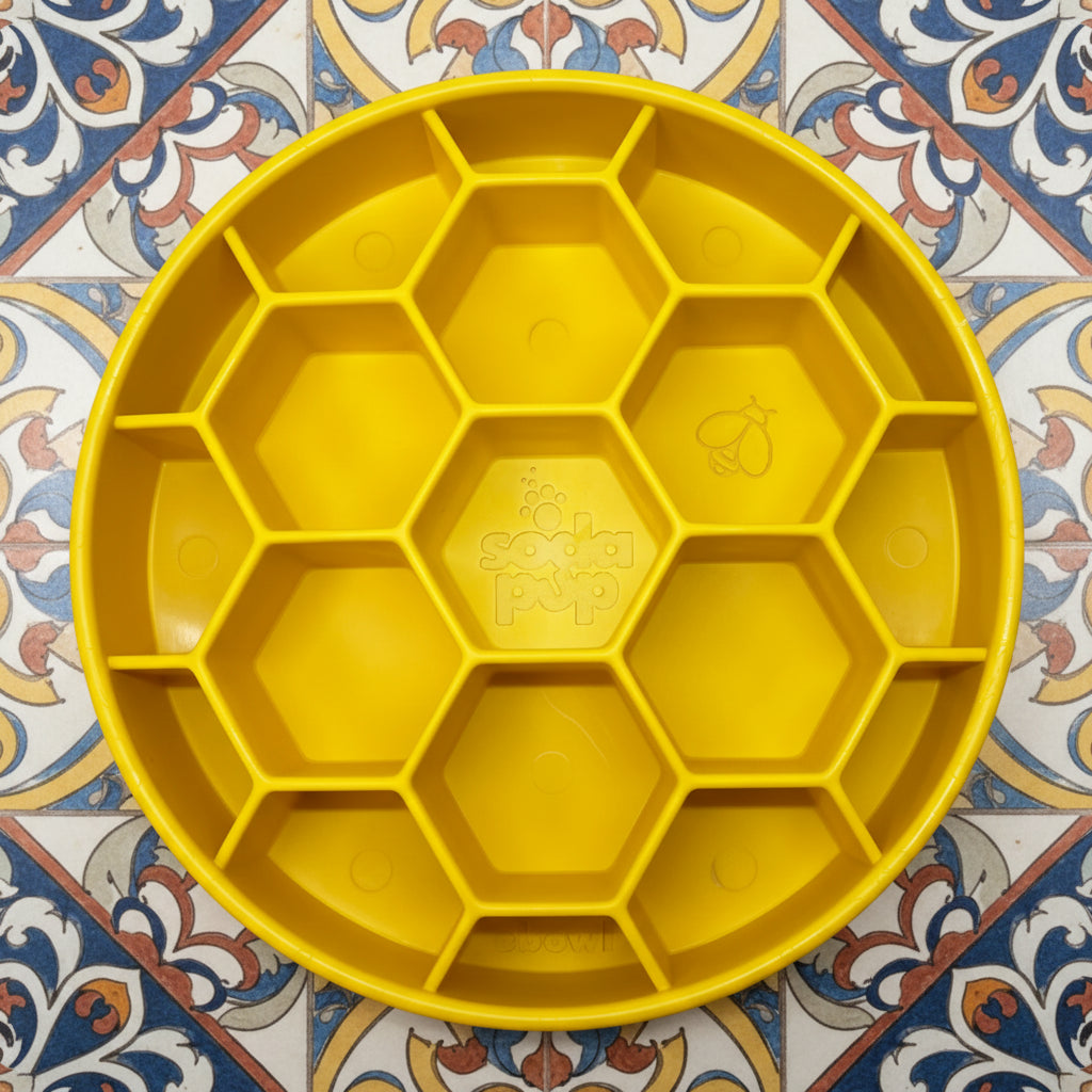 Enrichment slow feeder Honeycomb Dog Bowl