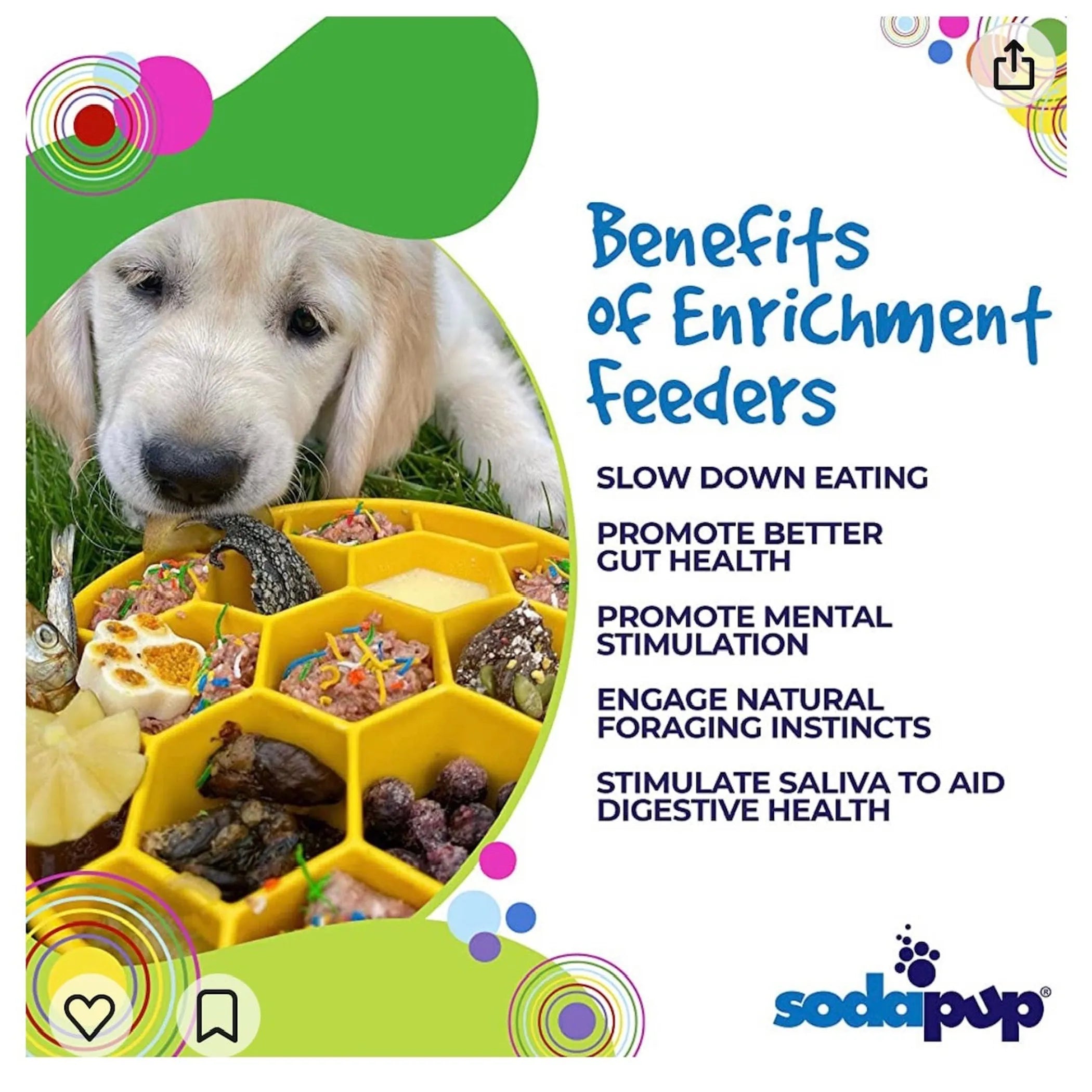 Enrichment slow feeder Honeycomb Dog Bowl