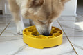 Enrichment slow feeder Honeycomb Dog Bowl